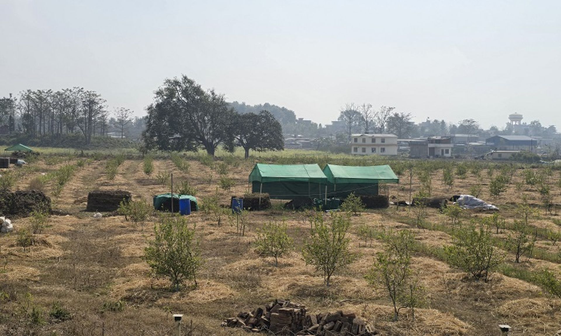 ‘सिभिल इन्जिनियर’ अध्ययन गरेर व्यावसायिक कागतीखेतीमा रमाउँदै प्रतीक